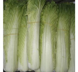 专业膳食保障，助力东莞发展——广东金龙膳食配送公司全方位服务解析