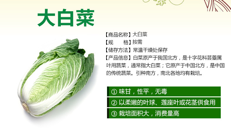 怡佳美果蔬 绿色健康，批发无忧——无公害大白菜的优选之道